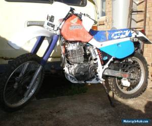 Motorcycle HONDA XR600R for Sale