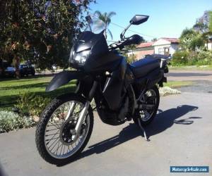 Motorcycle Kawasaki KLR 650 Learner Legal for Sale