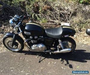 Motorcycle Triumph Thruxton 900cc for Sale