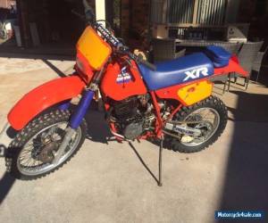 Motorcycle 1985 Honda XR600R for Sale