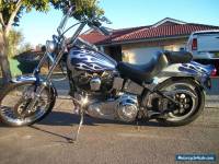 HARLEY DAVIDSON 1986 CUSTOM SOFTAIL.