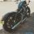 2009 Harley Davidson Nightster Forty Eight 48 Sportster for Sale