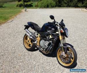 Motorcycle 2003 MV Agusta BRUTALE for Sale