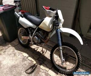 Motorcycle 1991 Honda XR250R for Sale