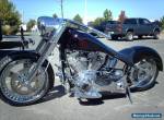 1993 Harley-Davidson Softail for Sale