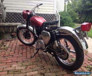 Motorcycle 1955 BSA for Sale