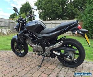 Motorcycle 2015 SUZUKI SFV 650 AL4 BLACK for Sale