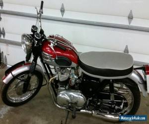Motorcycle 1962 Triumph Bonneville for Sale