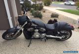 Harley Davidson Vrod V Rod Nightrod night rod  for Sale