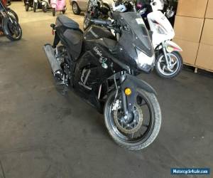 Motorcycle 2009 Kawasaki Ninja for Sale