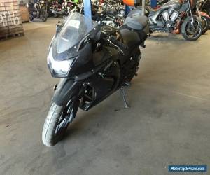 Motorcycle 2009 Kawasaki Ninja for Sale