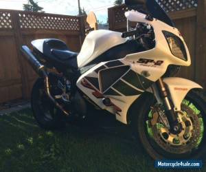 2002 Honda RC51 for Sale