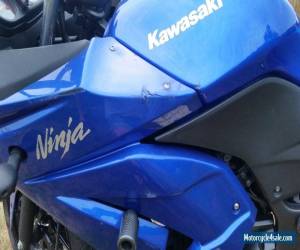Motorcycle 2009 Kawasaki Ninja for Sale