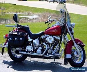 Motorcycle 1993 Harley-Davidson Softail for Sale