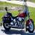 1993 Harley-Davidson Softail for Sale