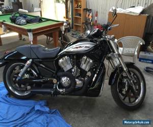 Motorcycle Harley Davidson V Rod 2005 for Sale