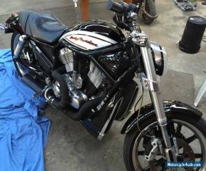 Motorcycle Harley Davidson V Rod 2005 for Sale