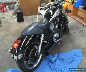 Motorcycle Harley Davidson V Rod 2005 for Sale