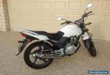 2013 Honda CB125 LAMS Approved Motorcycle for Sale