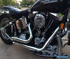 Motorcycle 1999 Harley-Davidson Softail for Sale