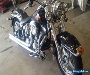 Motorcycle 1992 Harley-Davidson Softail for Sale