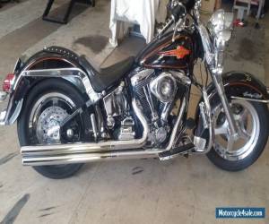 Motorcycle 1992 Harley-Davidson Softail for Sale