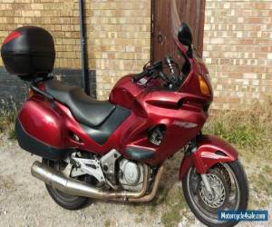 Motorcycle 2005 HONDA NT 650 V-5 RED for Sale