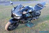 Black 2007 Honda CBR600RR Low KM only 4800km Motorbike Motorcycle CBR 600 RR 07 for Sale