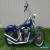 1994 Harley-Davidson Softail for Sale