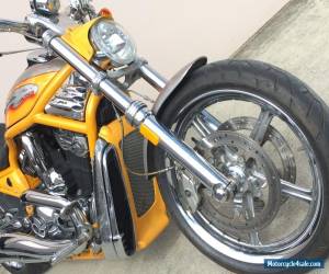 Motorcycle 2006 Harley Davidson CVO VROD Screamin Eagle VRSCSE2 for Sale