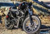 2002 Harley-Davidson Sportster for Sale