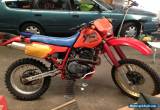 XR600R HONDA Motorcycle 1985 for Sale