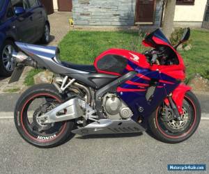 Motorcycle honda cbr 600 rr for Sale