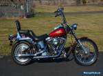 1987 Harley-Davidson Softail for Sale