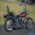 1987 Harley-Davidson Softail for Sale