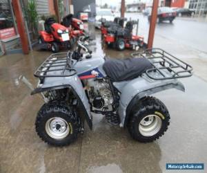 Motorcycle Yamaha Timberwolf ATV Quad Bike (2005 Model) for Sale