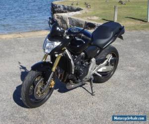 Motorcycle HONDA Hornet 600 F8 for Sale