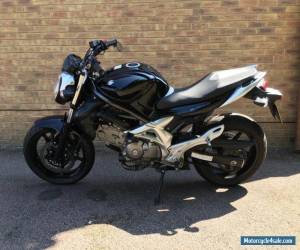 Motorcycle Suzuki Gladius 2010 for Sale