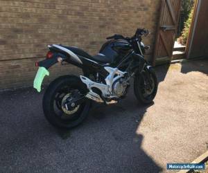 Motorcycle Suzuki Gladius 2010 for Sale