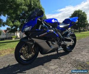 Motorcycle 2005 HONDA CBR 1000 RR-5 BLUE for Sale