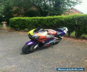 Motorcycle Honda fireblade cbr 900rr rrw rrx for Sale