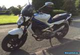 Suzuki Gladius SV650 for Sale