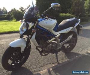 Motorcycle Suzuki Gladius SV650 for Sale