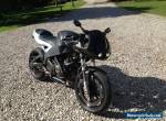 Buell XB12 track bike   for Sale