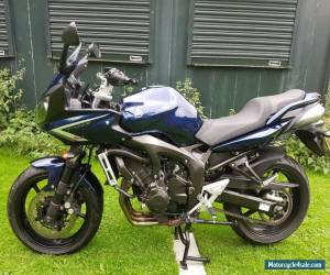 Motorcycle Yamaha Fazer FZ6, S2, 2008, ABS, Dark Blue Metallic Motorbike/Sports-Tourer for Sale