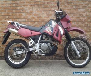 Motorcycle Kawasaki klr650 2003 for Sale