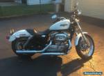 2008 Harley-Davidson Sportster for Sale