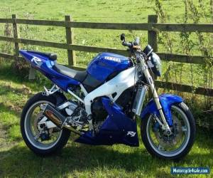 YAMAHA R1 1998 Streetfighter Blue Low Miles 23K Motorbike Bike for Sale