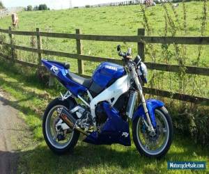 Motorcycle YAMAHA R1 1998 Streetfighter Blue Low Miles 23K Motorbike Bike for Sale