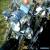 1996 Harley-Davidson Softail for Sale